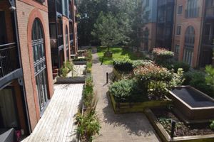 Communal Gardens- click for photo gallery